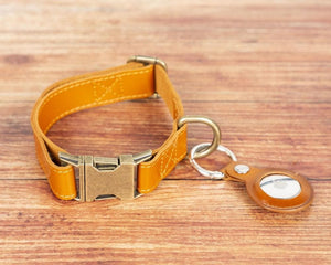 Scobby Leather Dog Collar Bouletta