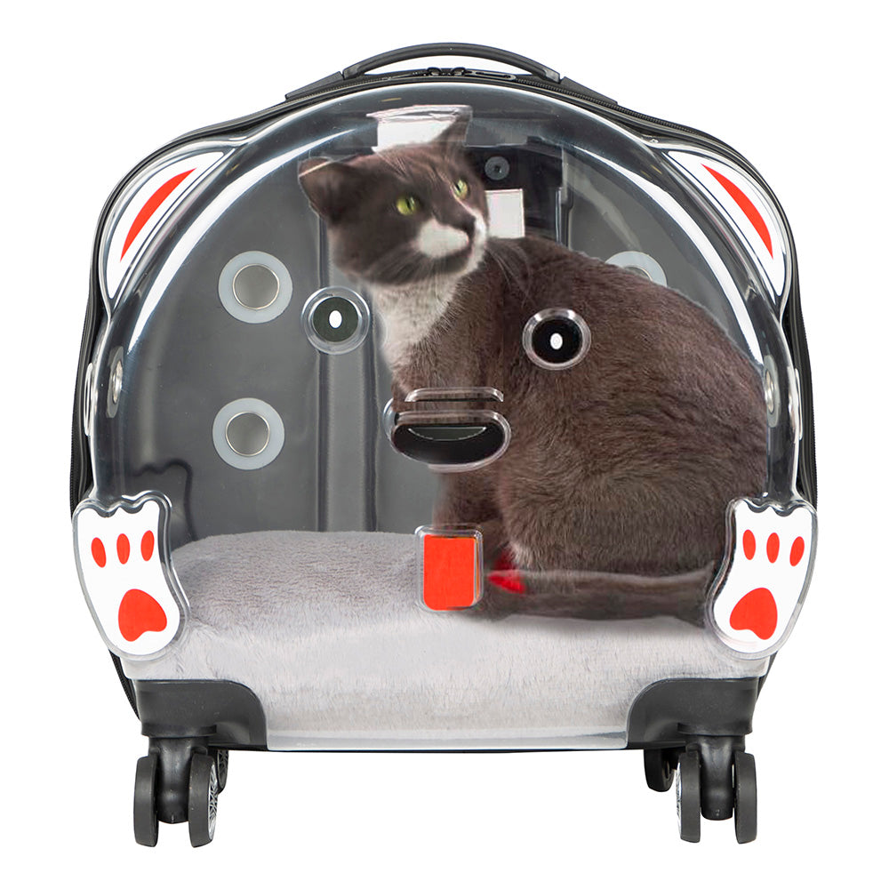 Ice Pet Trolley Suitcase