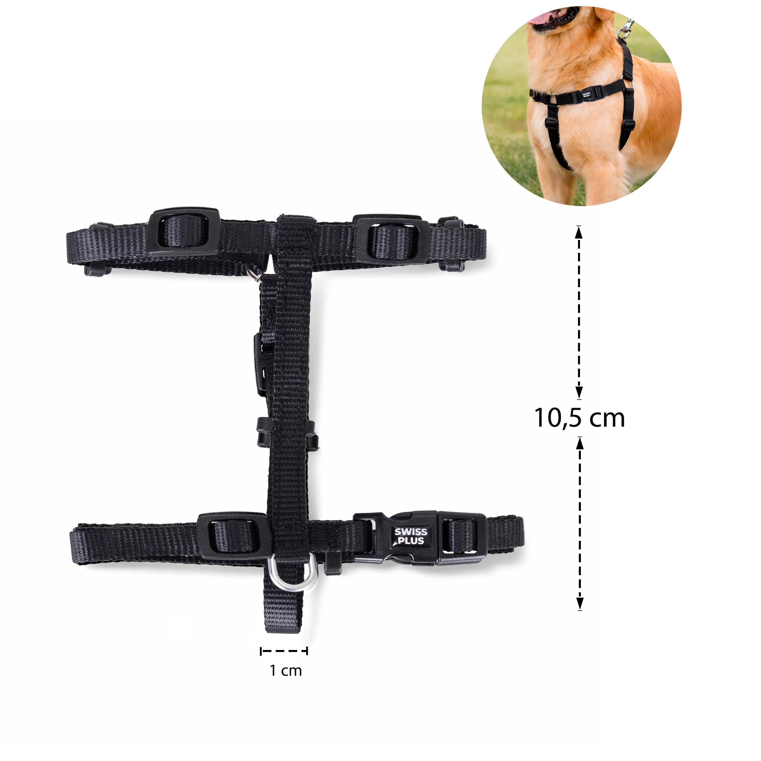 Solid Color H Type Harness