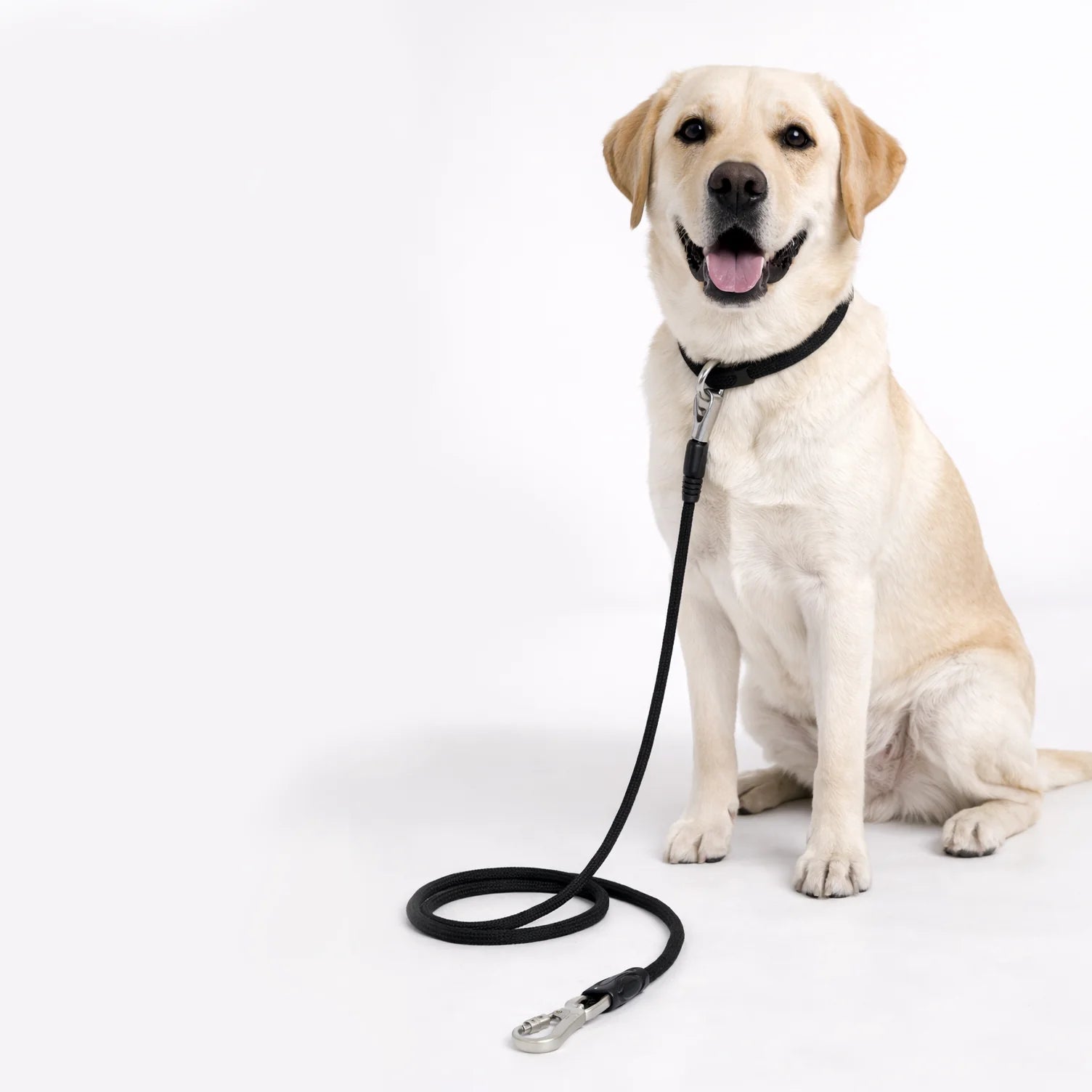 Polypropylene Rope Leash 8mm/150cm